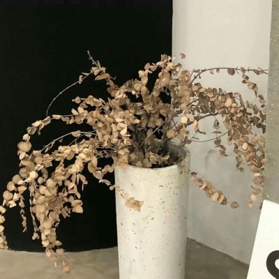 兽设配饰设计灵感合集Furry群